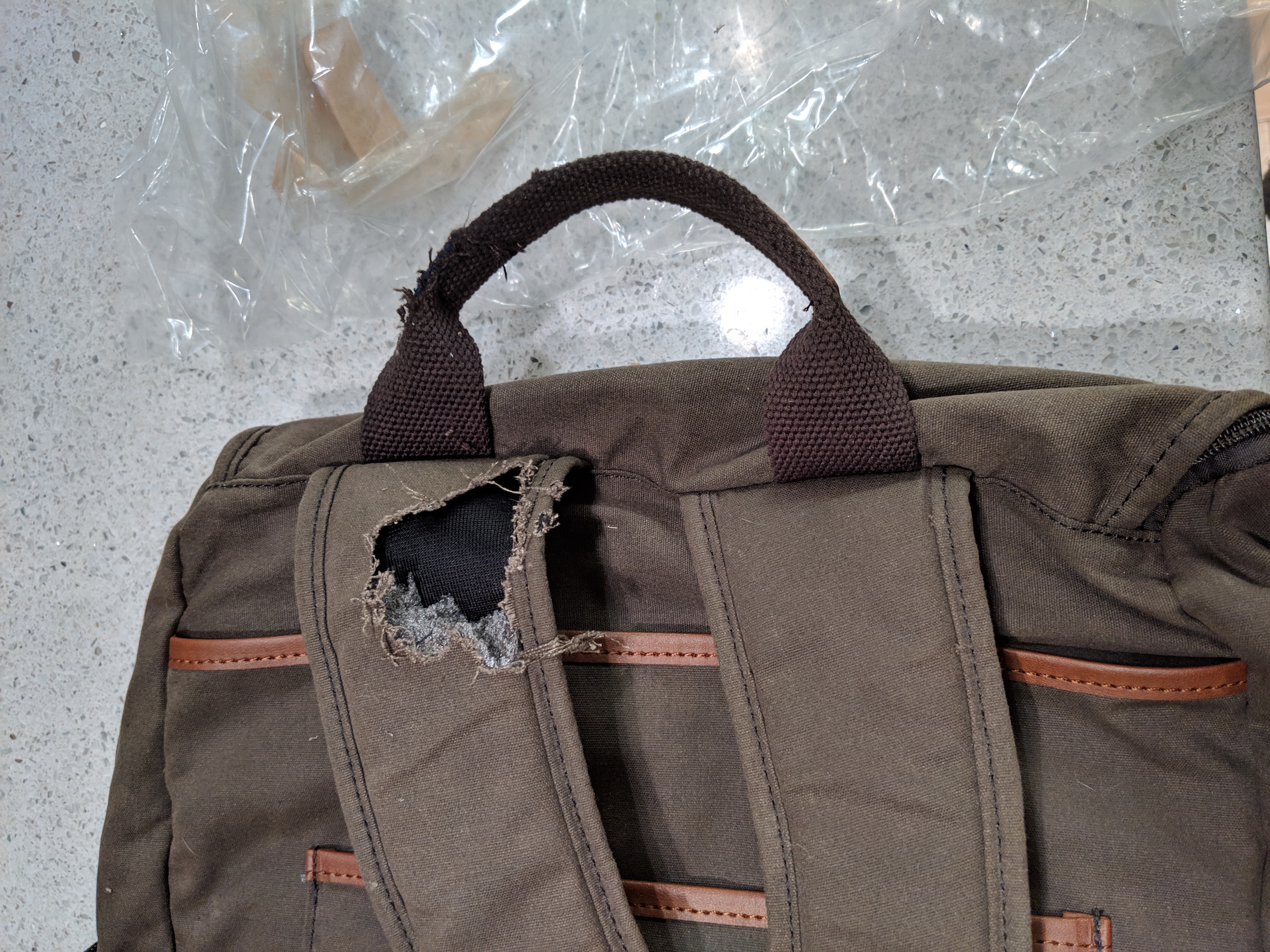 Backpack strap that appears to have been chewed