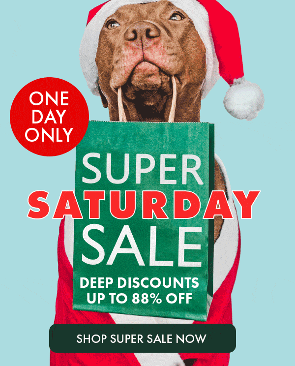 Super Saturday Sale. One Day Only. Deep discounts up to 88% off. Shop Super Sale Now