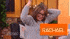 Rachael Ray